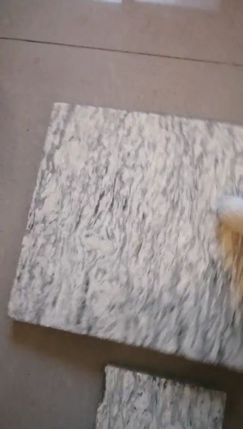 天然花岗岩浪花白岩石材 中俊石材