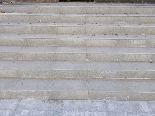 小院风雅颂 实景呈现 | 11月工程播报之石材篇